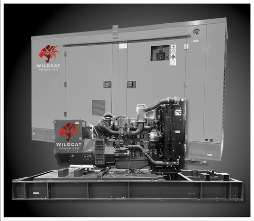 Wildcat RO0045 45kW Roughneck NG/LP/VP Prime Power Generator